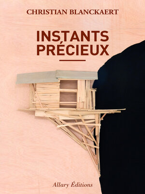 cover image of Instants précieux